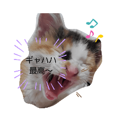 masaki_20220703030933
