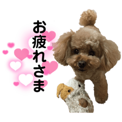 shiho_20220703031602