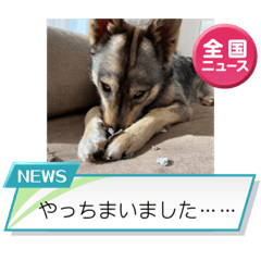 AYUMI_20220703131323