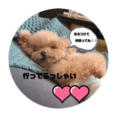 ripkun_20220703070711