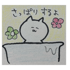 A cat has a nice life