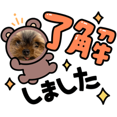 yukorin_20220703171843