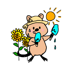 Daily Quokka 2 - Summer!