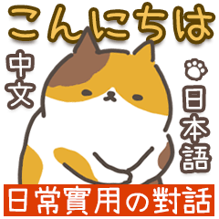 猫日常会話デカ文字♥️日本語と繁中語付き