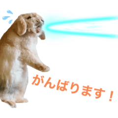 AOI_20220703180725