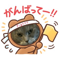 suzu_20220703181357