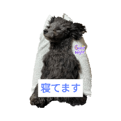 SGN_20220703212148