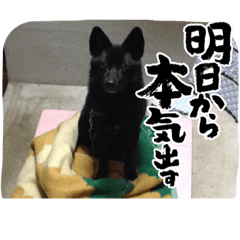e stamp_20220703231911