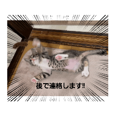 Smile_20220703213807