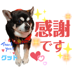 megumi_20220704042701