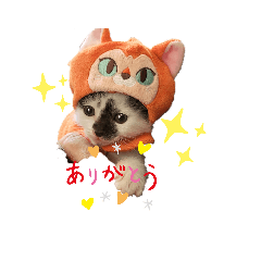 naho_20220704164912