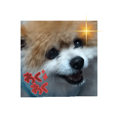 hikaru_20220704145532