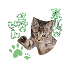 Toranosuke and Ginnosuke Cat sticker