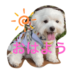 akari_20220705080708