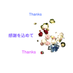MiChiko_20220704164736