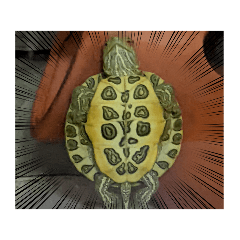 matsu_20220704205745