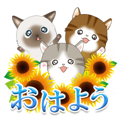 Greetings of small cats(summer)