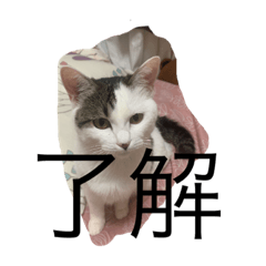 natsumi_20220705002935