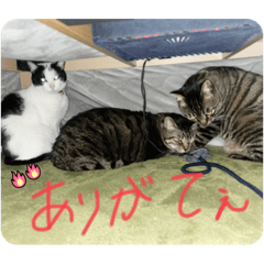 arisa_20220704233007