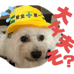 yun_20220705105926