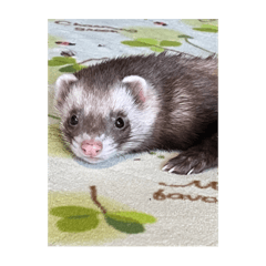 TOTOLO_20220705125314