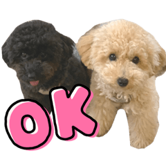 BIBI & KINAKO stickers!