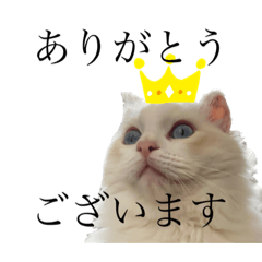 YAMADA_20220705133029