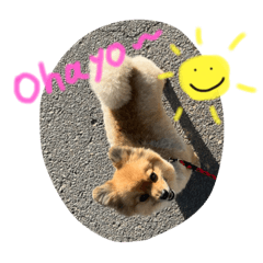 moo_20220705130205
