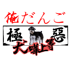 シュナウザー“俺だんご”