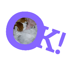 KAITO_20220705111719