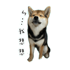 四季予你