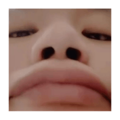 暉蝶海豚