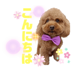 megumi_20220706033503
