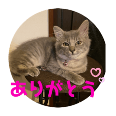 yuka_2022070614321
