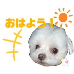 haruta_20220706012746