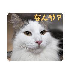 matsu_20220706005814