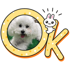 YUKA_20220706000842