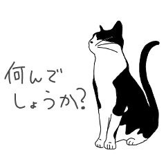 Hachiware cat's daily life 2