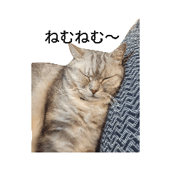 mizuki_20220705205048