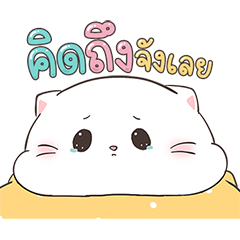 เบบี้แคท ป๊อปอัพ 4