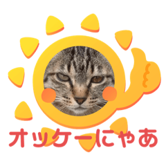 Meow Chan Sticker