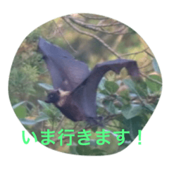 SHIHO_20220706140711