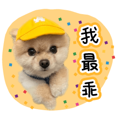 Timi提米駕到