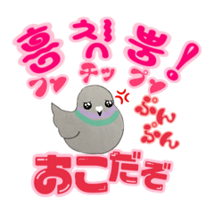 귀여운 비둘기 한국 & 일본 스티커