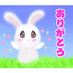 Cute rabbit's everyday