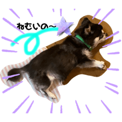 Smile_20220706172136