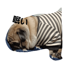 ryuki_20220706163957