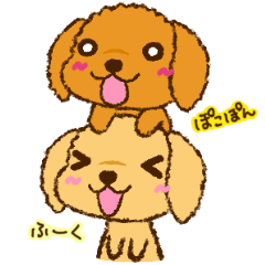 Toy poodle "Fu-chan&Poko-chan"