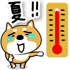 柴犬の夏。【どんだけ暑いね〜〜〜〜ん！】