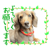 NakaNaka_20220706211744